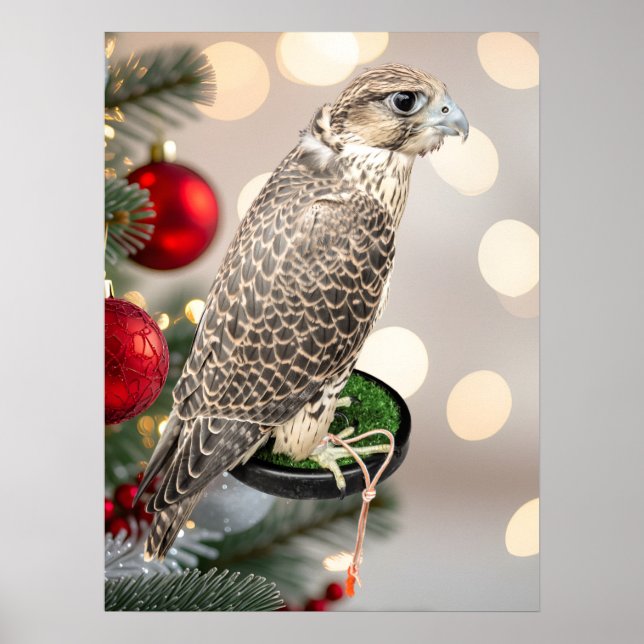 Poster Portrait Of A Hunting Falcon Real Photo (Frente)