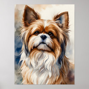 Poster Portrato de Aquarela Pose Sweet Shih Tzu Dog