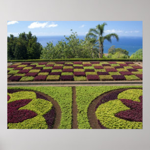 Póster Portugal, Ilha da Madeira, Funchal. Botânico