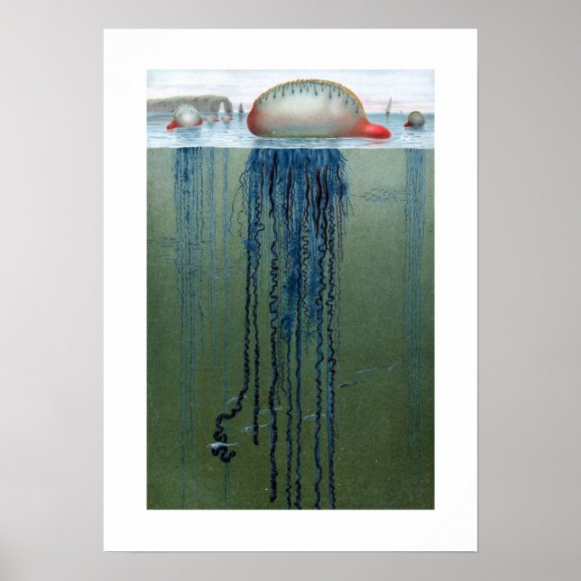 Poster Português de Guerra (Frente)