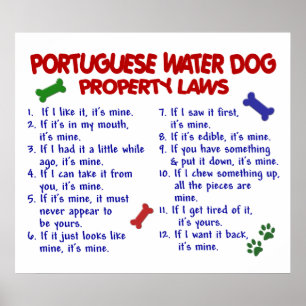 PÓSTER PORTUGUÊS WATER DOG PL2