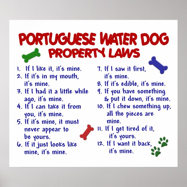 PÓSTER PORTUGUÊS WATER DOG PL2 (Frente)