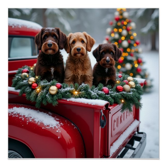 Póster Portuguese Water Dog Christmas Red Truck Holiday (Frente)