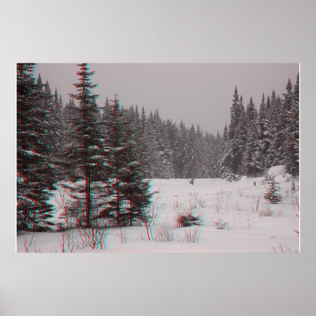 Poster Pôs do castor (Frente)