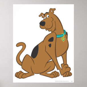 Póster Pose Bashful de Scooby-Doo