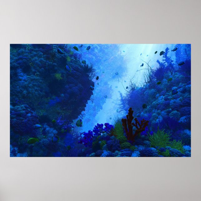 Poster Poseidon's Playground (Frente)