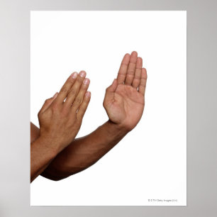 Póster Posição 2 do karaté