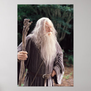 Póster Posição de GANDALF™