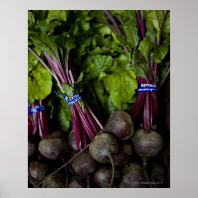Póster posição de mercado dos agricultores com vários pro (Frente)