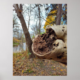 Poster Posição Justa de Decay e Life