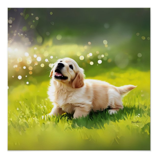 PÓSTER POSTER (Frente)