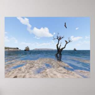 Poster Pôster