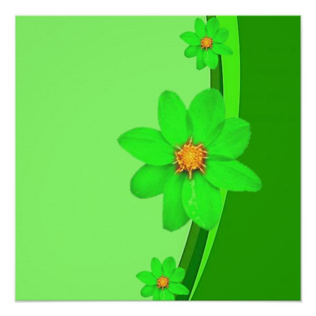 Póster Poster (Frente)