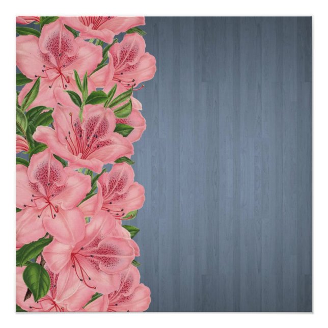 Póster Poster (Frente)