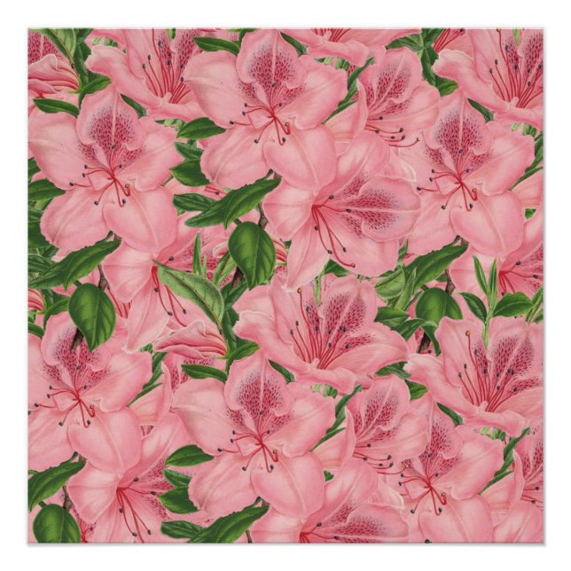 Póster Poster (Frente)