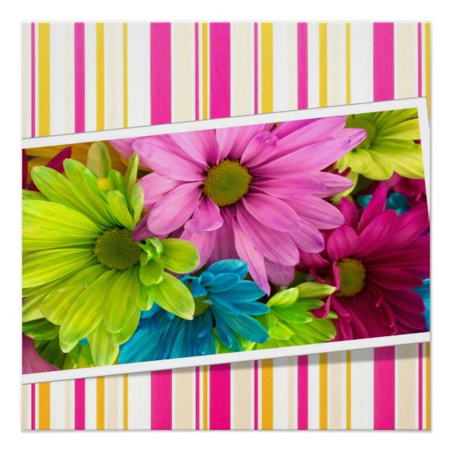 Póster Poster (Frente)