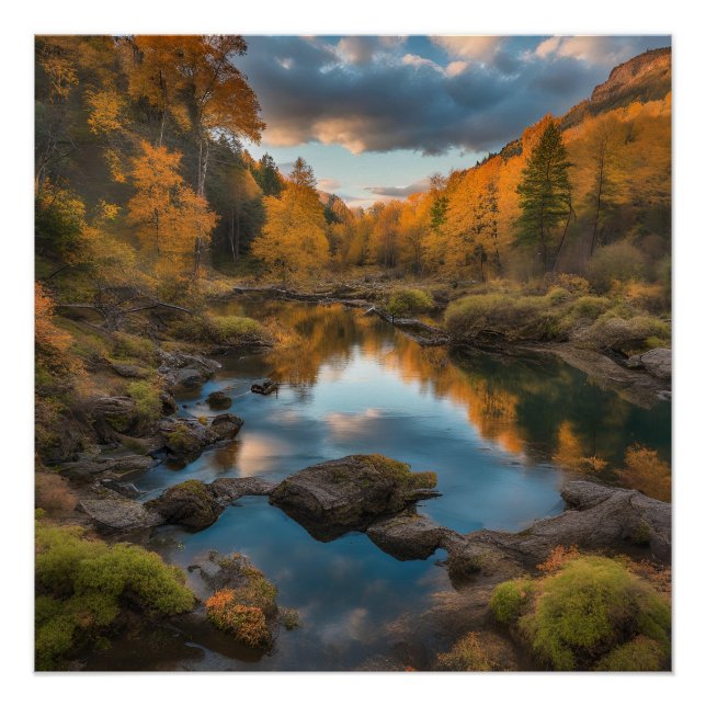 PÓSTER POSTER (Frente)