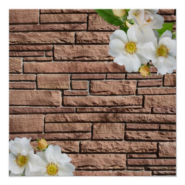 Póster Poster (Frente)