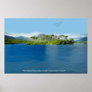 Poster Pôster
