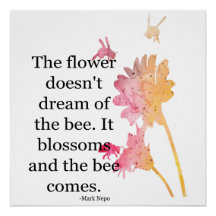 Poster A flor não sonha com a abelha