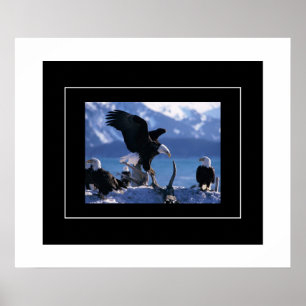 Poster Poster-Águias