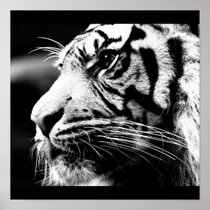 Póster Poster-Animals-40