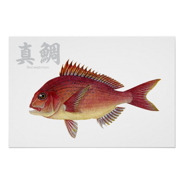 Póster Poster brilhante (Frente)