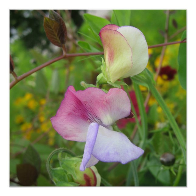 Póster Poster brilhante (Frente)