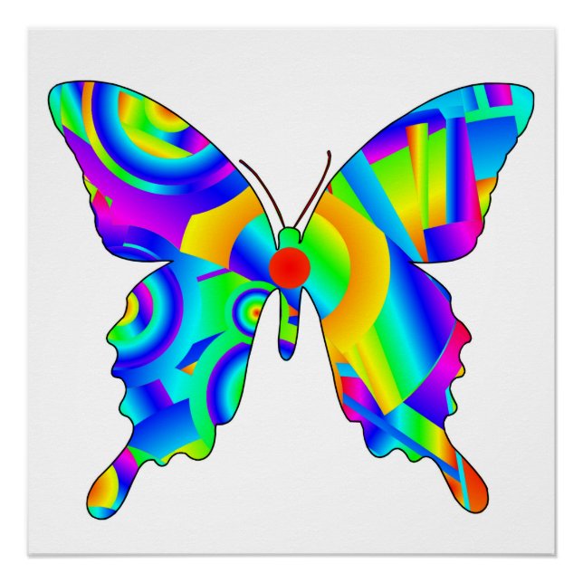 Póster Poster brilhante da borboleta de Verão (Frente)