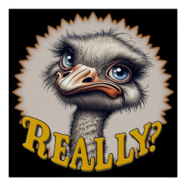 Póster Poster brilhante de Ostrich