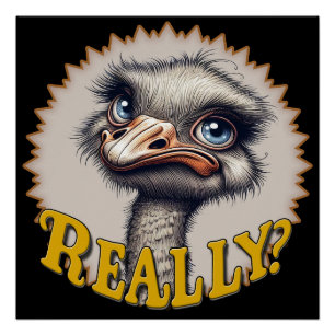 Póster Poster brilhante de Ostrich