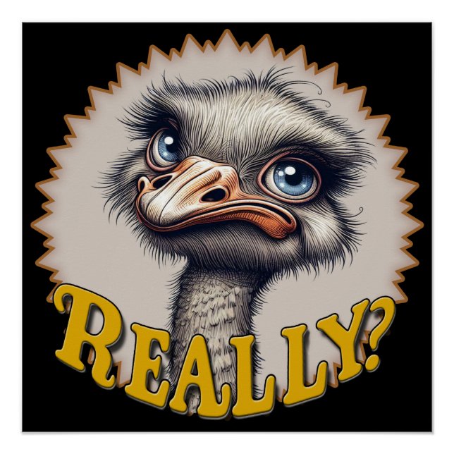 Póster Poster brilhante de Ostrich (Frente)