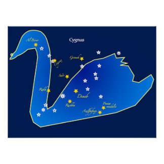 Póster Poster brillant de la Constellation du Cygne