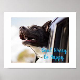 Poster Poster-Cachorro Virado para fora Janela do Carro N