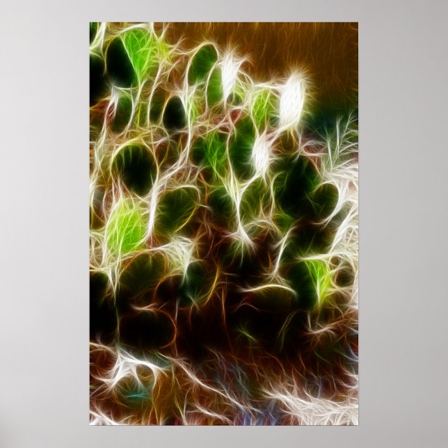 Poster Poster- Cactus De Pear (Frente)