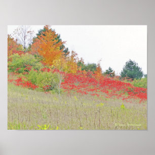 POSTER POSTER/CANVAS/FOTOGRAFIA /"TAPETE DE VERMELHO"
