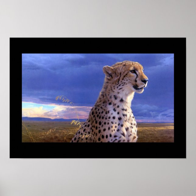 Poster Poster-Cheetah (Frente)