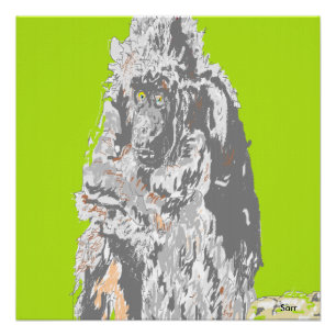 Póster Poster Chimpanzé