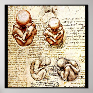 Poster Poster-Clássico/Leonardo da Vinci 9