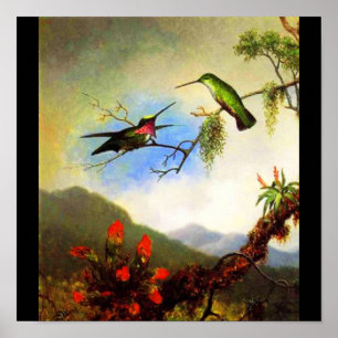 Poster Poster-Clássico/Martin Johnson Heade 1