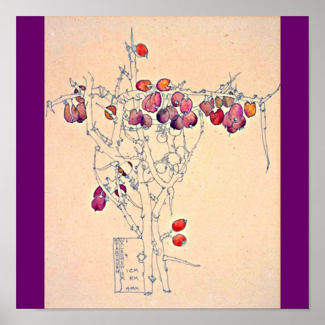 Póster Poster/Clássico/Vintage-Charles Rennie Mackintosh  (Frente)