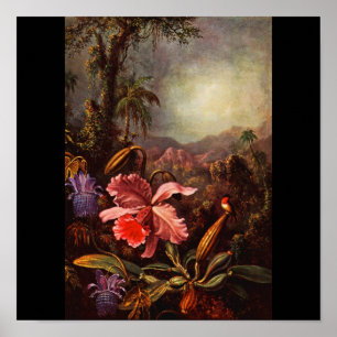 Poster Poster-Clássico/Vintage-Martin Johnson Heade 14