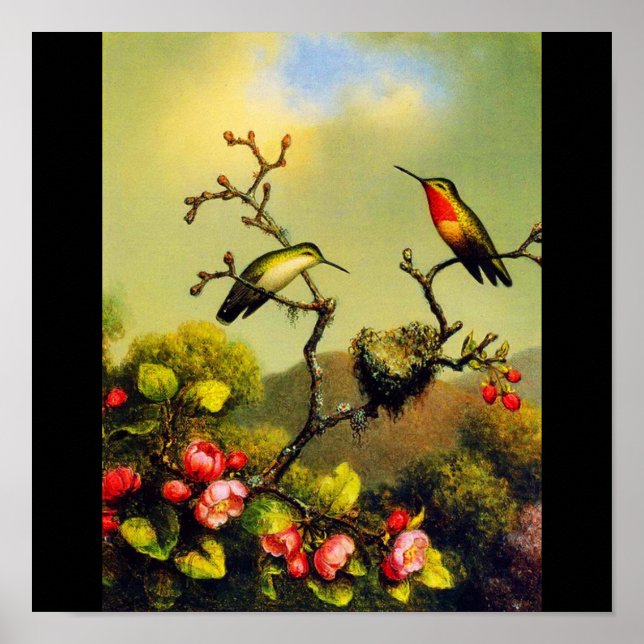 Poster Poster/Clássico/Vintage-Martin Johnson Heade 5 (Frente)