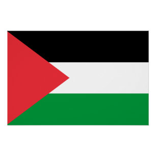 Póster Poster com bandeira da Palestina