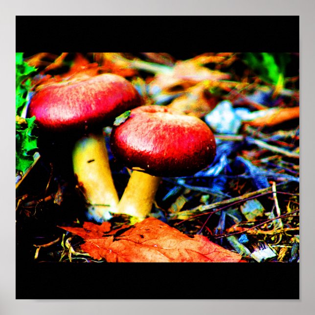 Poster Poster-Comida/Bebida-18 (Frente)