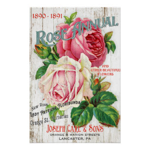 Póster Poster cor-de-rosa do catálogo de semente do
