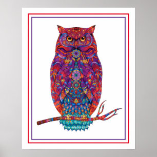 Poster Poster-Coruja 16" x 20"