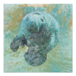 Póster Poster da arte da vaca de mar do peixe-boi