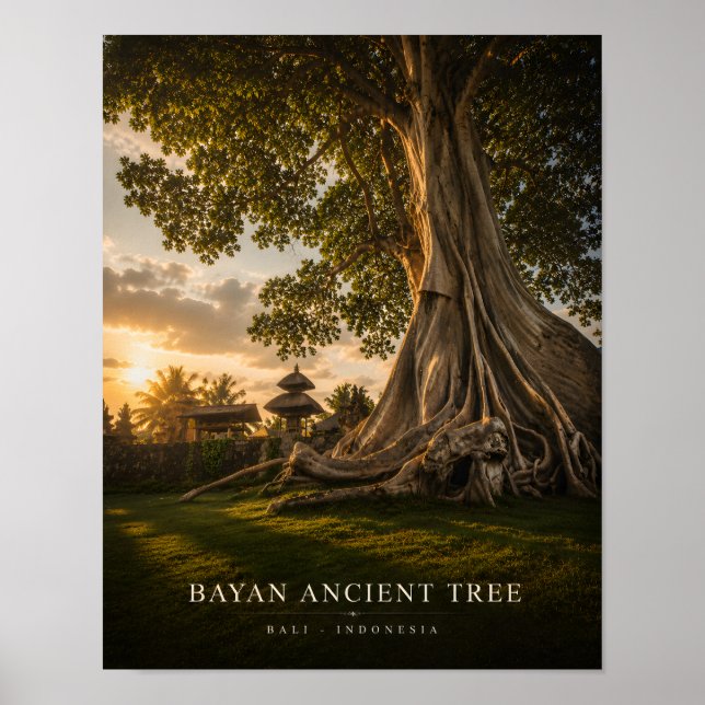 Poster Pôster da Árvore Antiga de Bayan em Bali (Frente)
