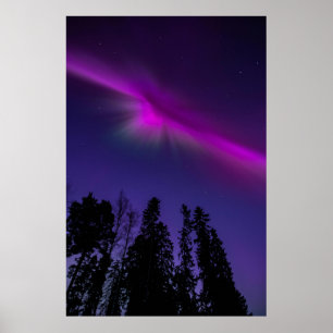 Poster Pôster da Natureza do Céu Noturno da Aurora Boreal